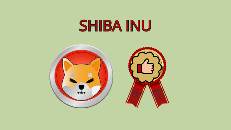 shiba-inu